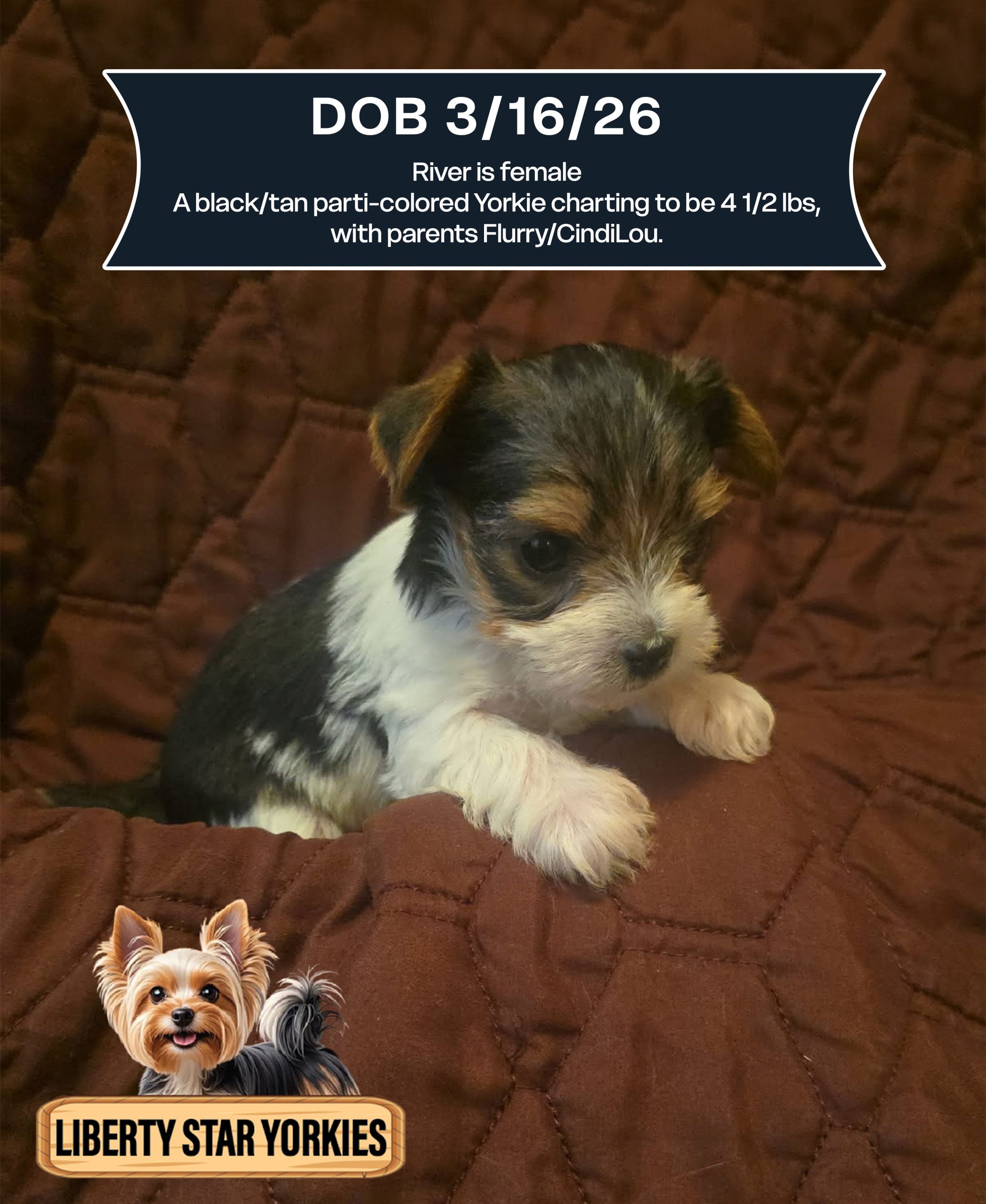 River is female DOB 3_16_26_ (1) (1)